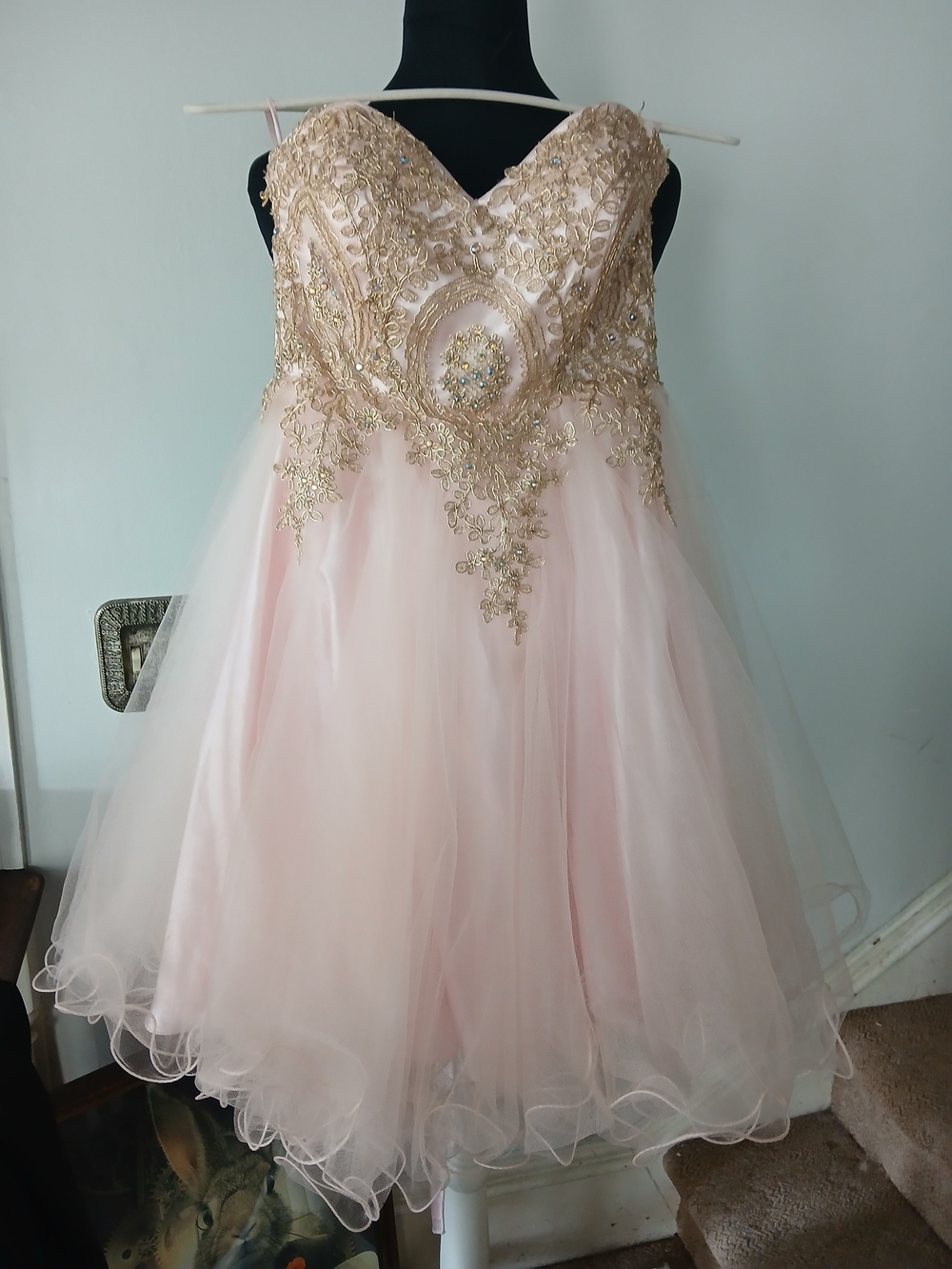 May Queen Blush Pink Tulle Dress with Gold Embroidered Bodice 2